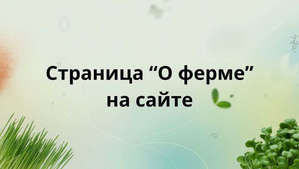 Как фермерам, выращивающим микрозелень, написать потрясающую страницу «О себе»