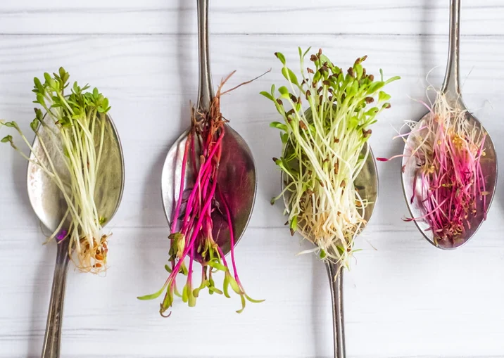 Микрозелень в косметике: мощный природный уход для сияющей кожи