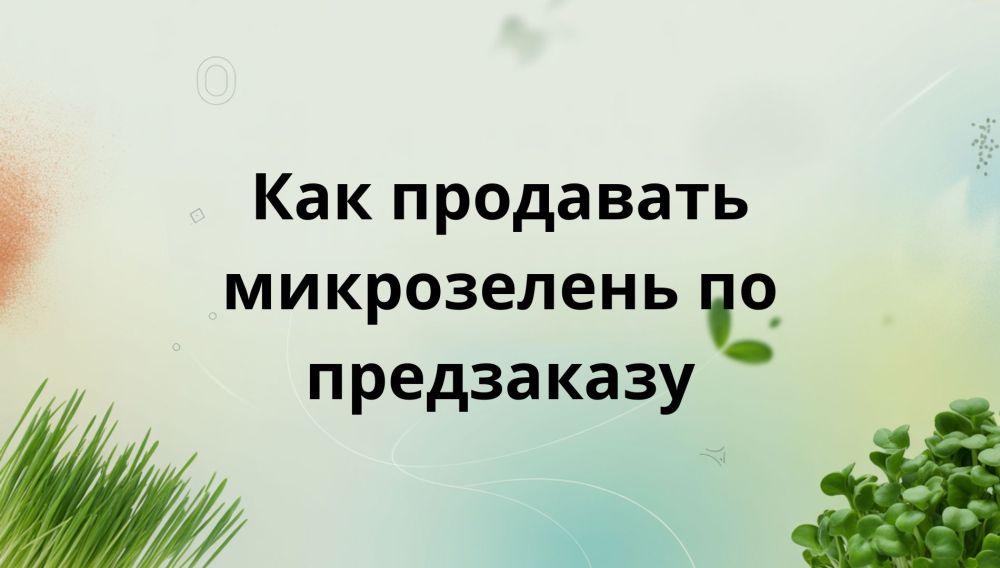 От разовой покупки до вечного клиента: как превратить покупателей микрозелени в подписчиков