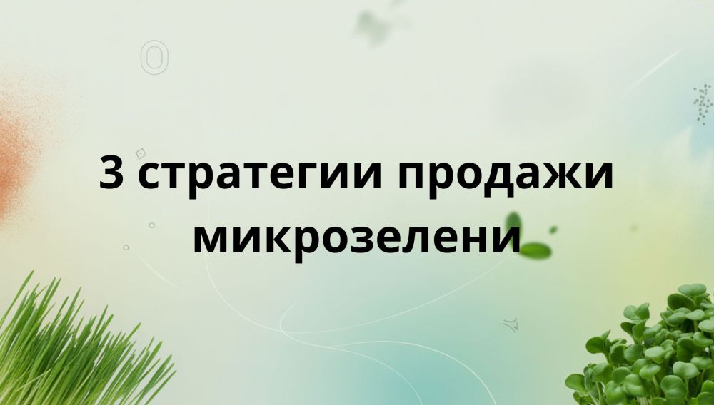 Топ-3 стратегии продажи микрозелени: с чего начать бизнес