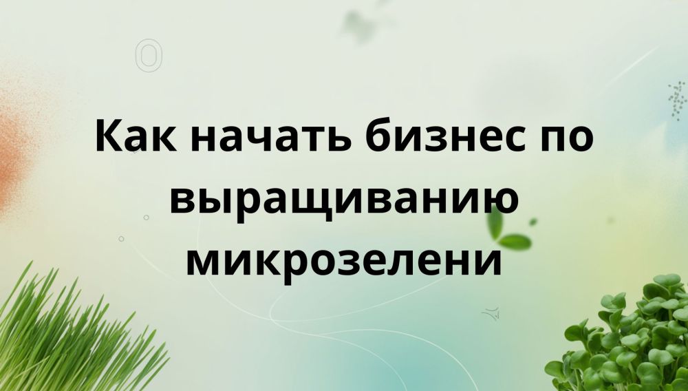 Выращивание микрозелени для продажи: Как начать свой бизнес