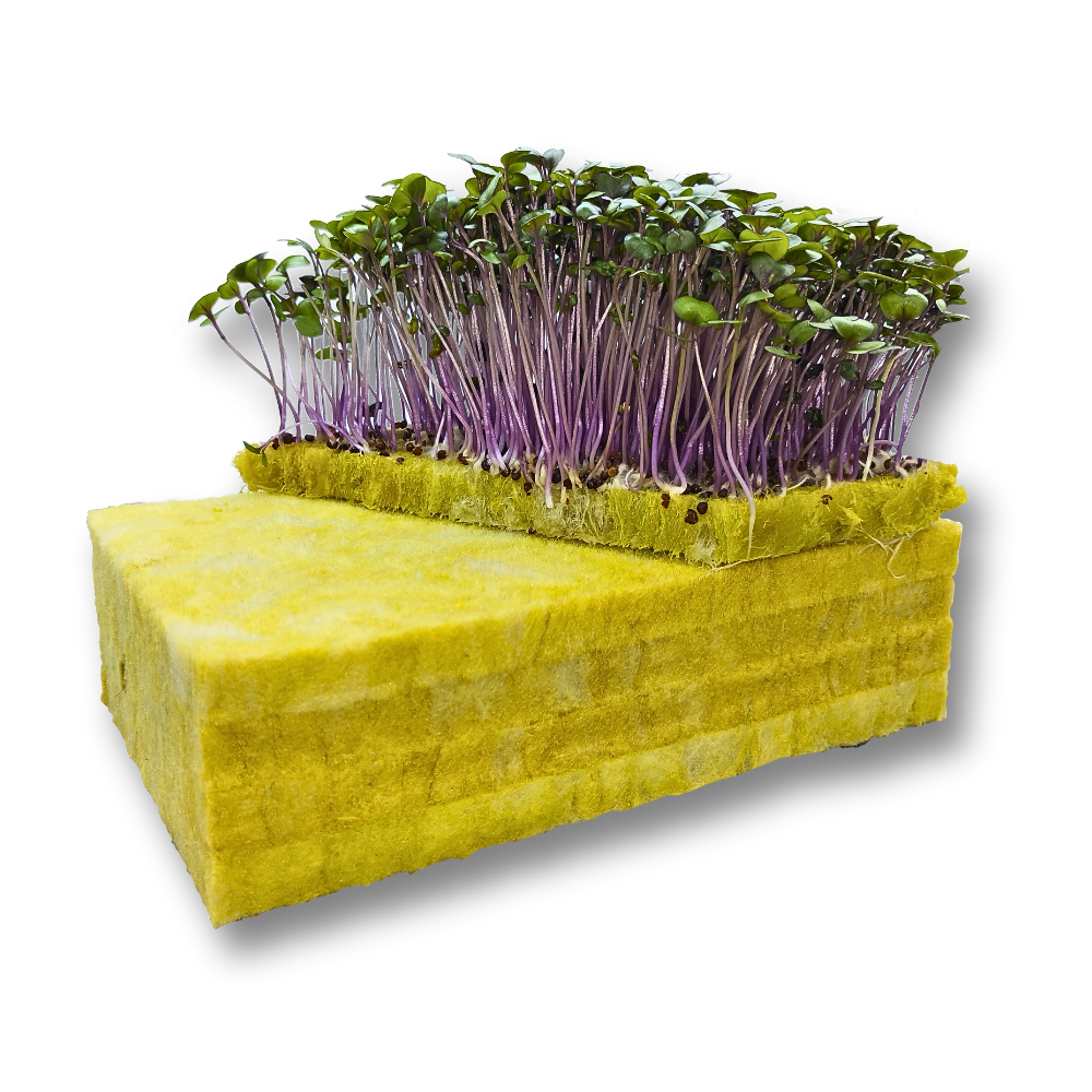 агровата для выращивания микрозелени