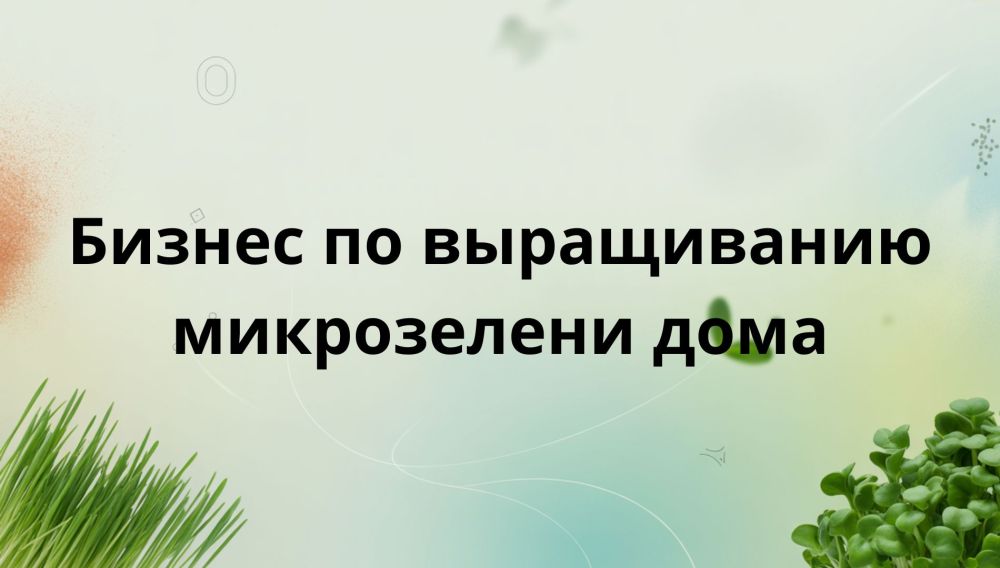 Как начать бизнес по выращиванию микрозелени дома